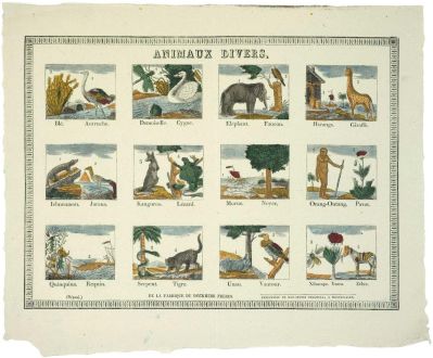 ANIMAUX DIVERS. (titre inscrit) : Cliché H. Rouyer
