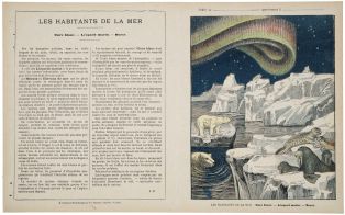 LES HABITANTS DE LA MER : Ours blanc. - Léopard marin. - Morse. (titre inscrit) ; © H. Rouyer
