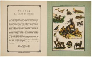 ANIMAUX (LA CHASSE EN EUROPE) N°5 (titre inscrit) ; © Essy Erfani