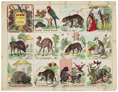 ALBUM / du Jardin / des / PLANTES. / N°. 1. (titre inscrit)