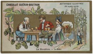 BOTANIQUE ILLUSTRÉE / 84 sujets variés / Le Houblon. - La Bière (titre inscrit)
