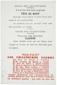 LES INSECTES NUISIBLES / à Détruire / 1. Tête de Mort . 2. Chenille . 3. Clairon (titre inscrit)