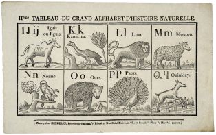 II ème TABLEAU DU GRAND ALPHABET D'HISTOIRE NATURELLE (titre inscrit)