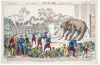 1870 - LA GUERRE - 1871 SIÉGE DE PARIS. ABATTAGE DE L'ELE...