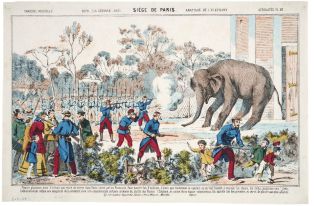 1870 - LA GUERRE - 1871 SIÉGE DE PARIS. ABATTAGE DE L'ELEPHANT. (titre inscrit)