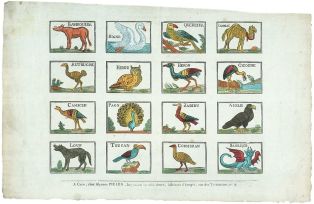 planche d’animaux (titre factice)