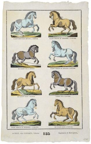 planche de chevaux (titre factice) 135 (titre inscrit)