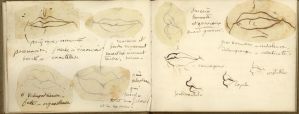 Petit carnet de croquis sur les traits de caractère (bouche...) ; © Collections musée George Sand et de la Vallée Noire