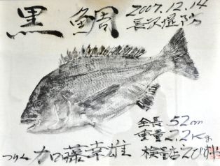 gyotaku ; © Photo Musée de la Pêche