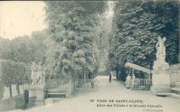 69. Parc de Saint-Cloud - Allée des Tillets à la Grande C...