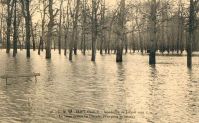 85. - Saint-Cloud. - Inondation de janvier 1910. La Seine...