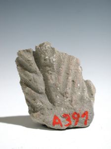 Fragment de chapiteau (A.391)