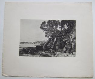 Branches de pin et roches au bord de mer, d'après Lansyer. (titre inscrit)