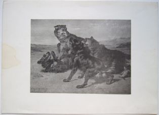 Chiens-loups agressifs. (titre factice) ; © Loches ; ©  Musée Lansyer