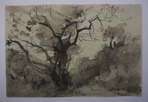 Silhouettes, arbres et coteaux dans le Vallon du Crapen à Carolles. (Titre inscrit) ; © Loches ; ©  Musée Lansyer