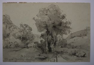 Vallon du Crapen à Carolles (silhouettes, arbres et côteaux). (Titre inscrit)