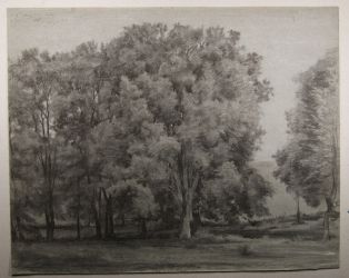 Chênes de l’Estang près Loches. (Titre inscrit) ; © Loches ; ©  Musée Lansyer