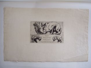 Gargouilles d'après dessins de Viollet-le-Duc. (titre factice)