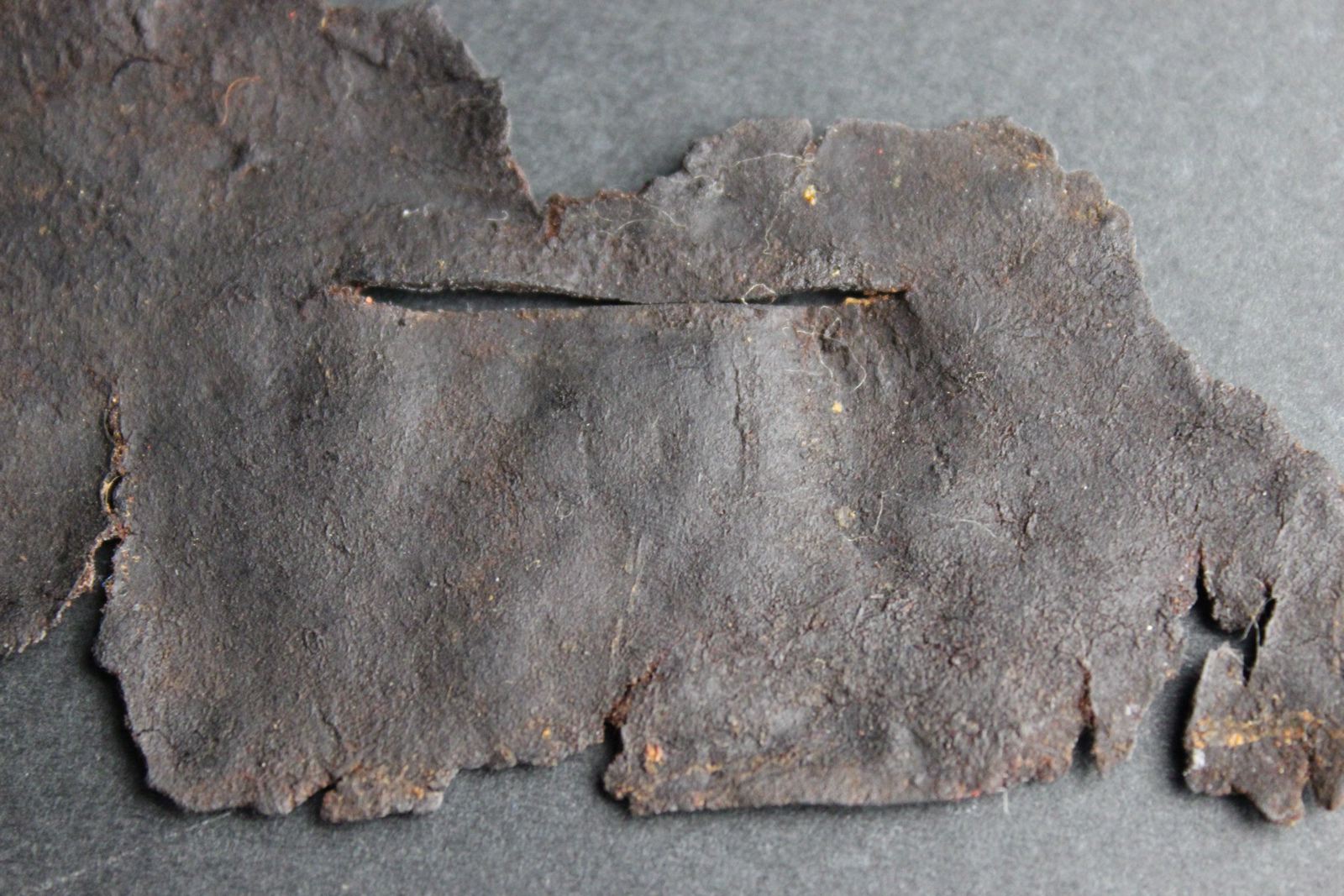 Fragment de cuir polychrome ciselé d'oiseau