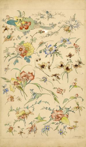 Planche, aquerelle de motifs floraux ; © Susana Pereira-Tavares, Philippe Bon