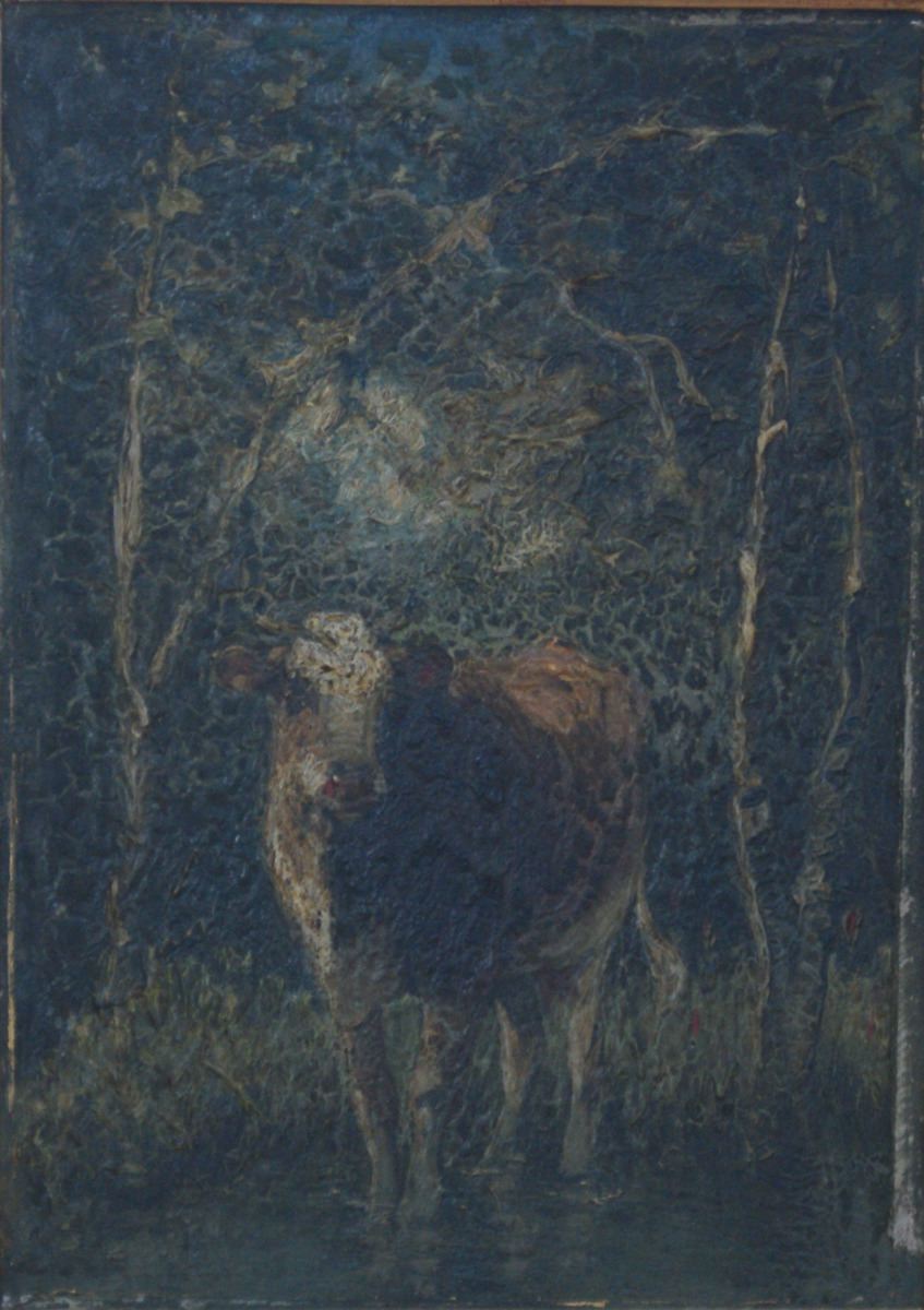 Vache sous bois