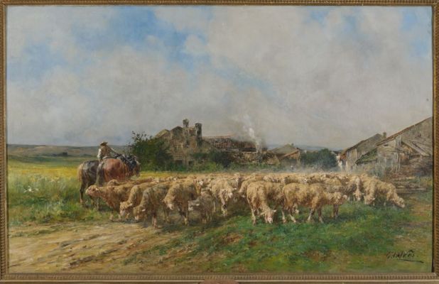 Sortie du troupeau, matinée de juin, à Soncourt