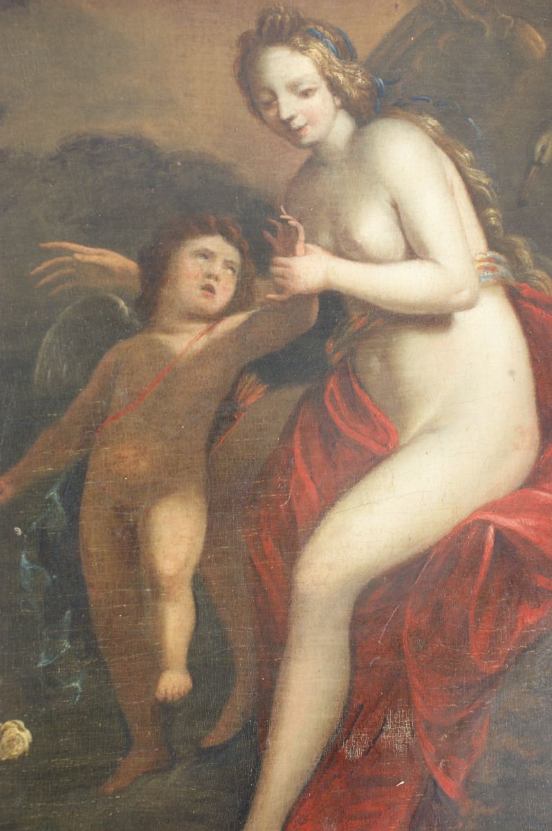 Vénus consolant l'amour blessé