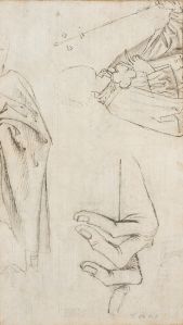 Apôtre agenouillé avec à ses pieds un donateur en armure en prière (recto) # Étude de draperie et étude de main (verso) ; © Christian KEMPF ; © Musée Unterlinden
