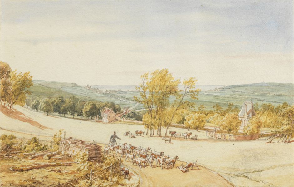 Paysage de prairies normande avec à l'arrière-plan la ville d'Eu