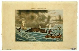 lithographie ; Pêche de la baleine, harponnement