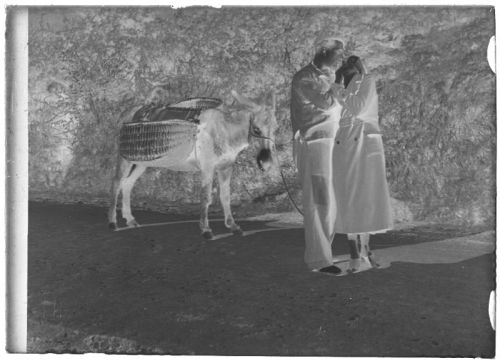 plaque de verre photographique ; Couple enlacé devant un âne