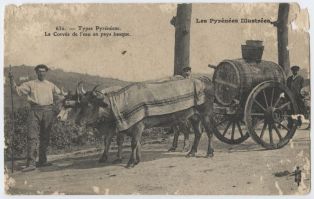 carte postale ; Les Pyrénées illustrées - Types pyrénéens - La corvée de l'eau en Pays Basque