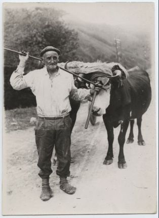 tirage photographique ; Tipo vasco (aldeano de Jemein)