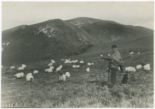 tirage photographique ; Navarre - Berger et troupeau dans la montagne