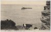 carte postale ; Biarritz - Echappée de la Mer