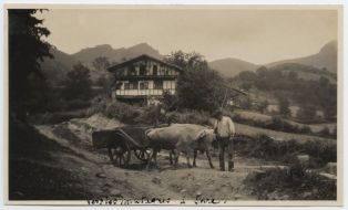 tirage photographique ; Bouvier à Sare