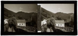 plaque de verre photographique ; Sainte-Engrâce - Homme portant du fourrage sur son dos