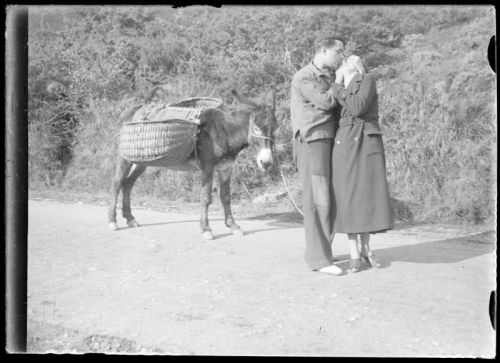 plaque de verre photographique ; Couple enlacé devant un âne