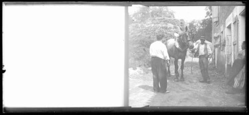 plaque de verre photographique ; Le préfet, Ribouleau et le cheval