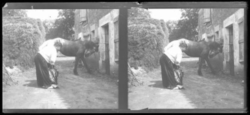plaque de verre photographique ; Le préfet et Ribouleau essayant un collier sur le cheval