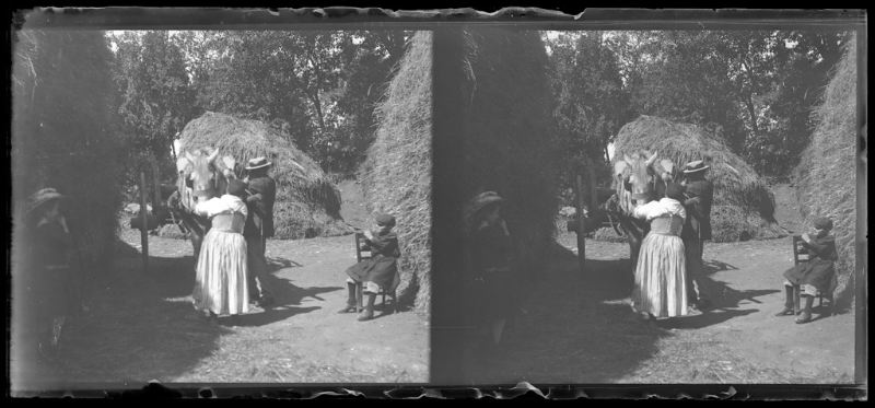 plaque de verre photographique ; Marie Taupau aidant le préfet à atteler son cheval