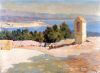 Vue sur la ville et le fort d'Antibes - Adrien OUVRIER