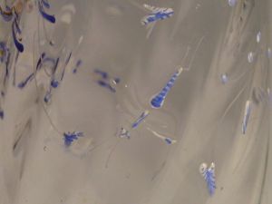 vase tubulaire aux myosotis, insectes et libellule (titre factice)