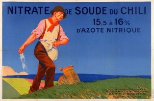 Affiche publicitaire ; Nitrate de soude du Chili (98.10.13)