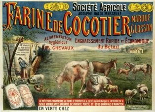 affiche ; Farine de cocotier (006.07.03)