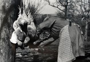 Tirage photographique, série "la tuée de volailles dans le bocage normand" ; “L’instant décisif”, Simone exécute sa tâche (n° 5) (2009.01.05)