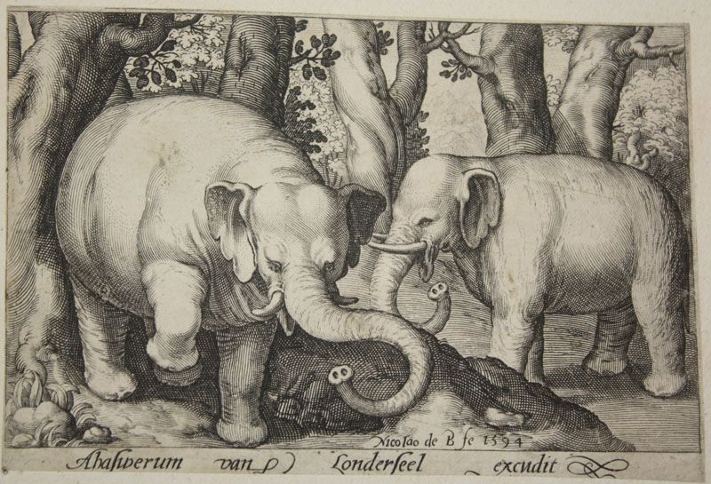 LONDERSEEL Assuerus van (éditeur) & BRUYN Nicolas de (graveur), Animalium Quadrupedum (1594) -   Cassel, Musée départemental de Flandre