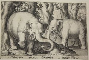 LONDERSEEL Assuerus van (éditeur) & BRUYN Nicolas de (graveur), Animalium Quadrupedum (1594) -  	Cassel, Musée départemental de Flandre