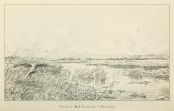 Le marais, d'après Edmond Charles YON, gravure, 1893