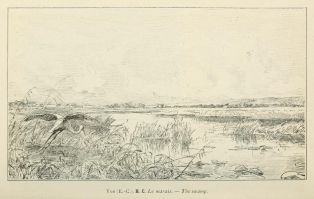 Le marais, d'après Edmond Charles YON, gravure, 1893 ; © Internet Archive (https://archive.org)
